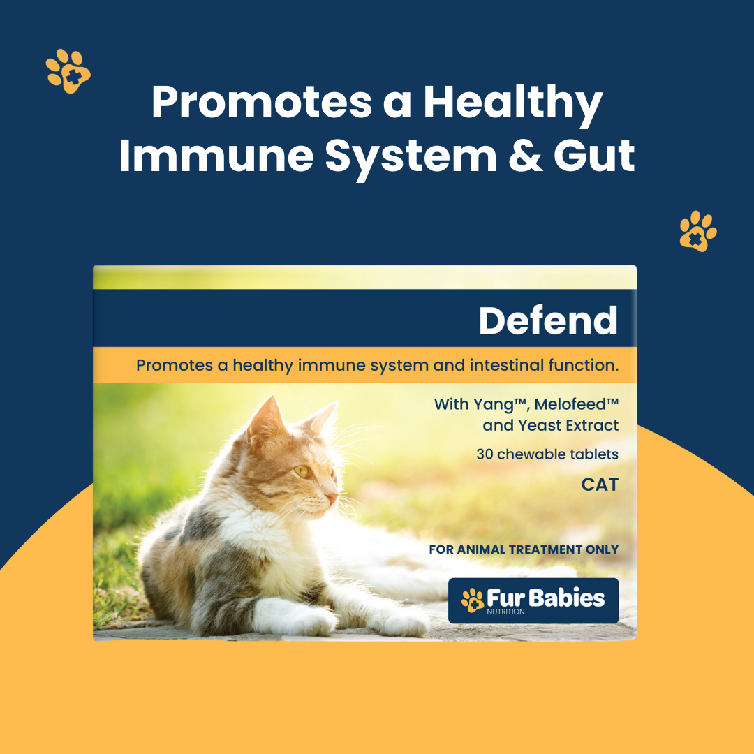 Fur Babies DEFEND for Cats