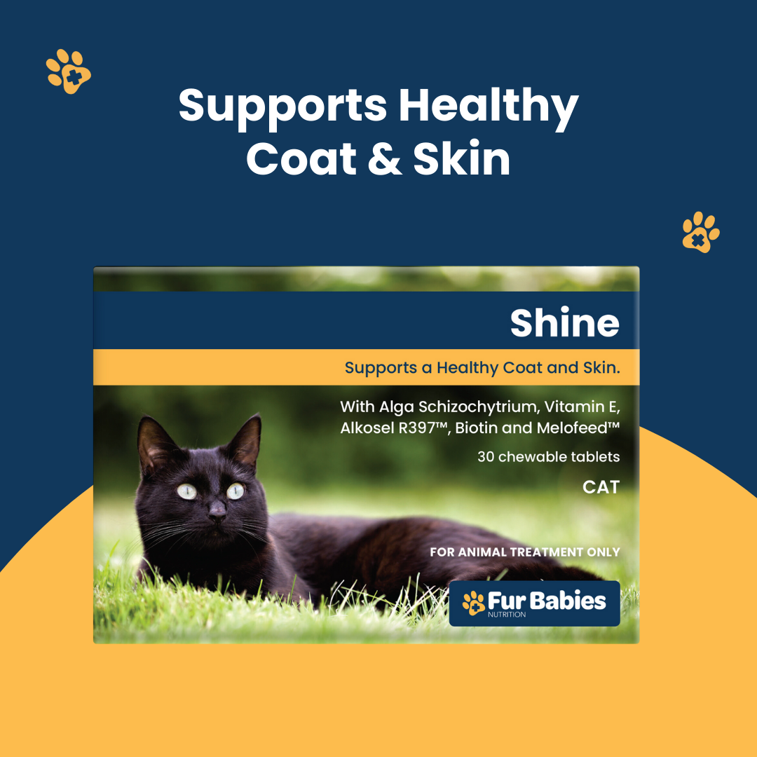 Fur Babies SHINE for Cats