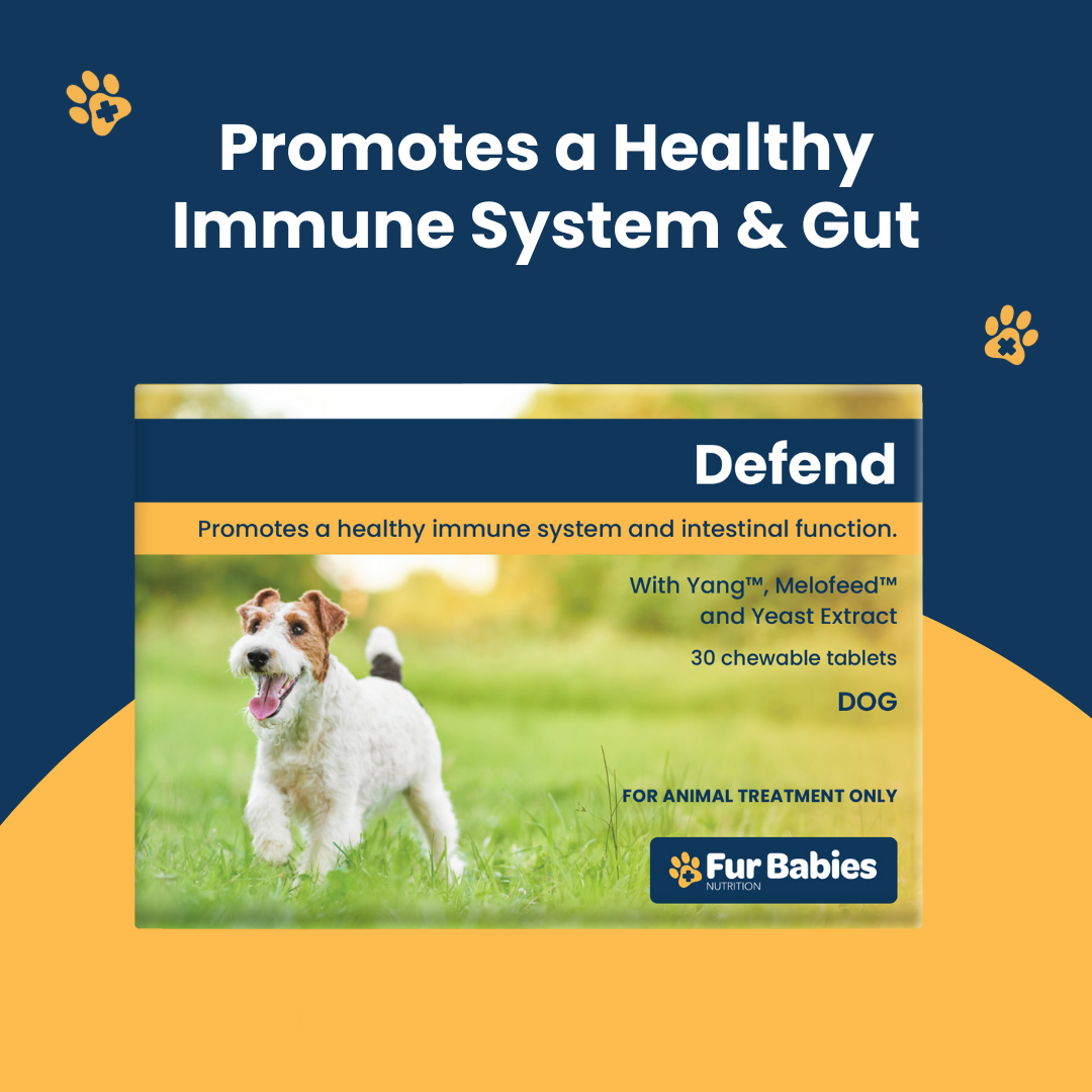 Fur Babies DEFEND for Dogs