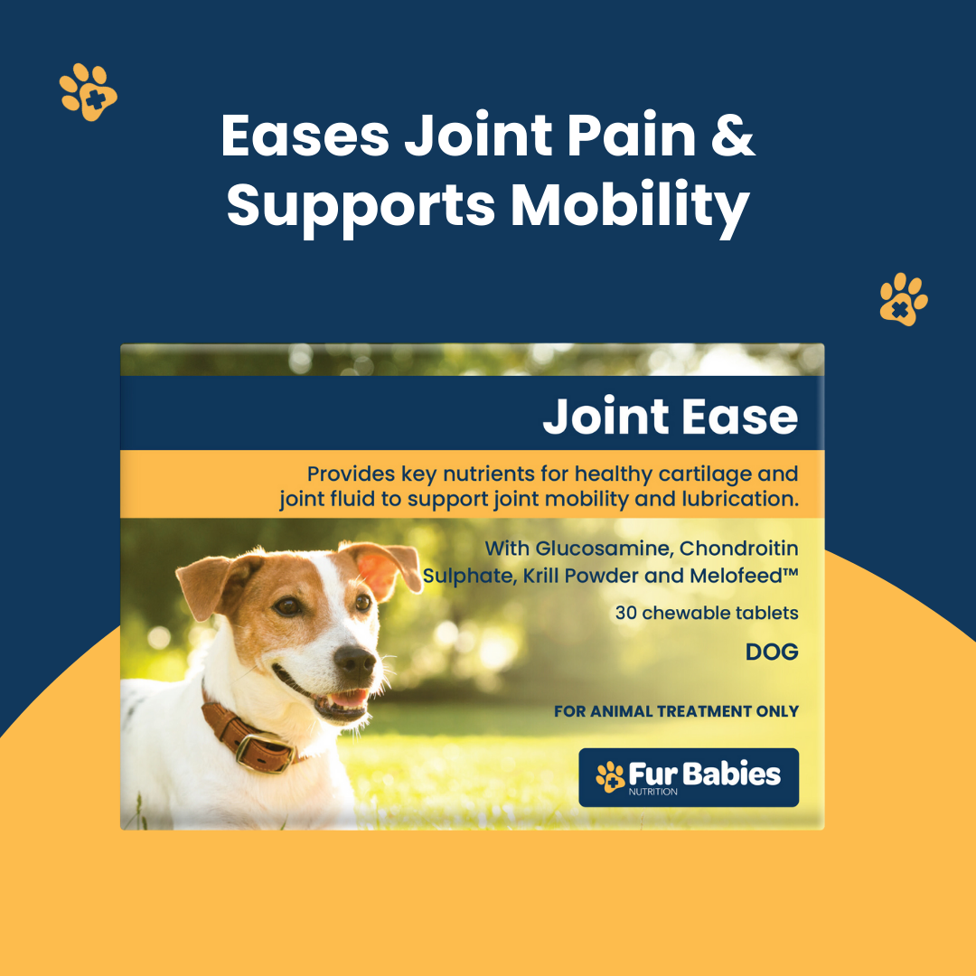 Fur Babies JOINT EASE for Dogs