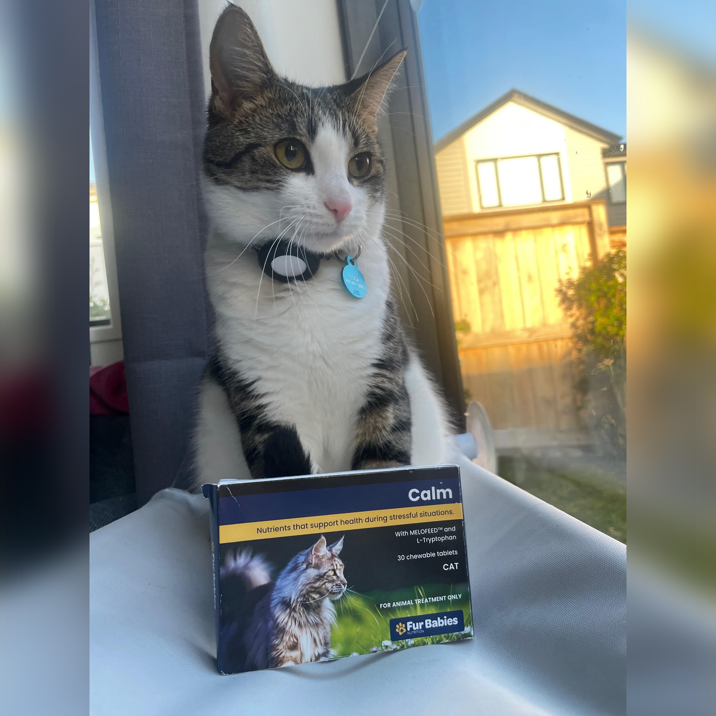 Fur Babies CALM for Cats