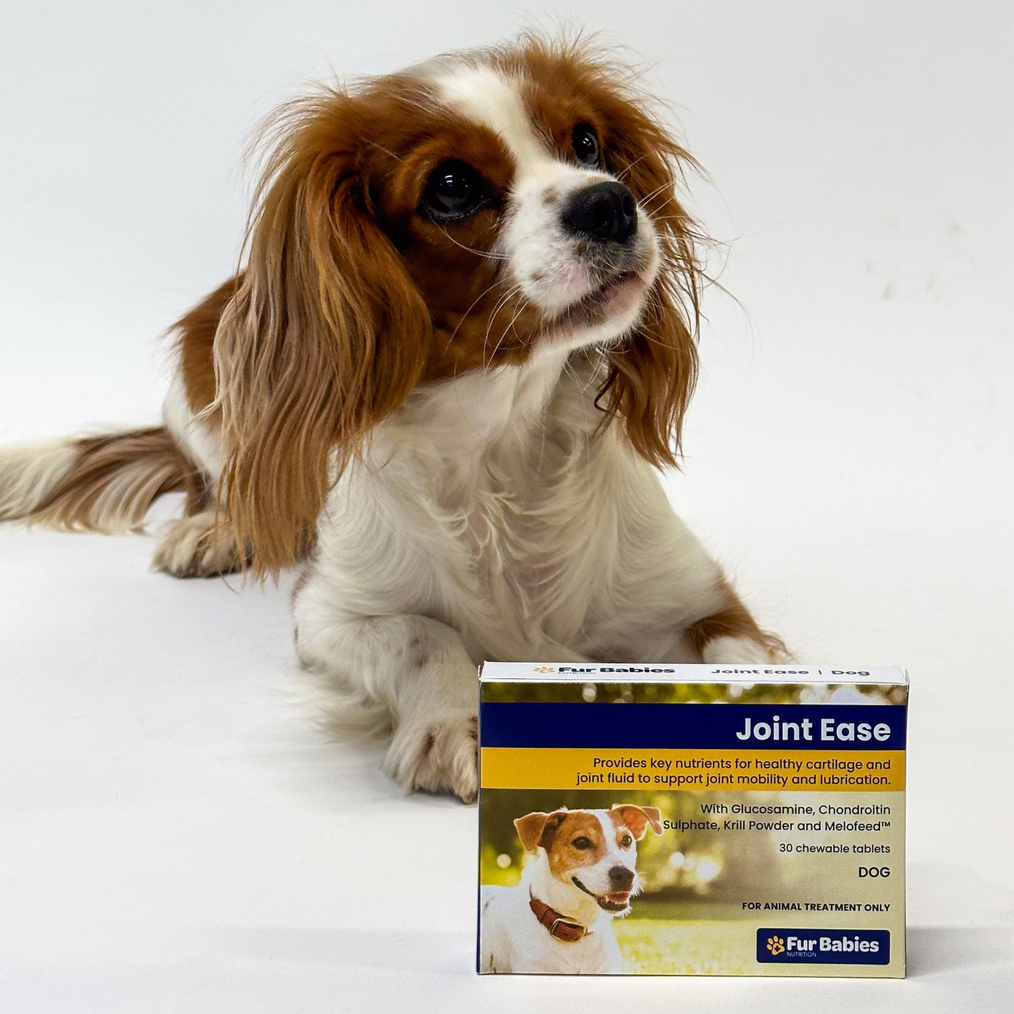 Fur Babies JOINT EASE for Dogs