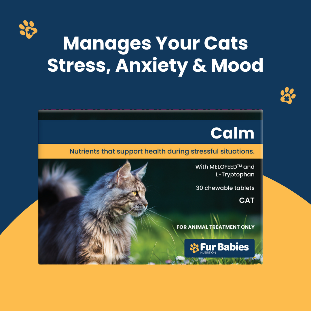 Calming Tablets & Supplements For Cats | Calming Care For Cats – Fur ...