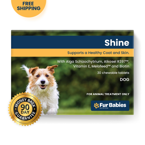 Fur Babies SHINE for Dogs - Main Image