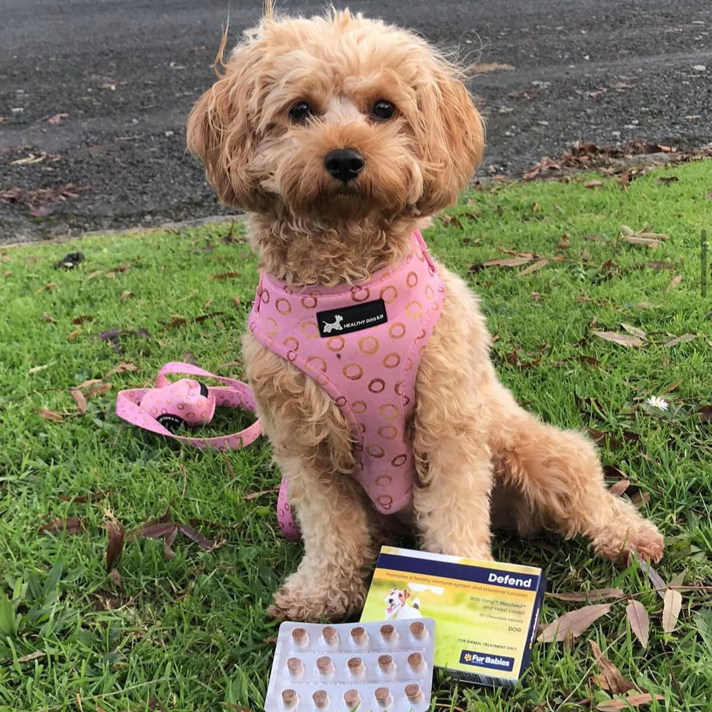 
                  
                    Fur Babies DEFEND for Dogs
                  
                